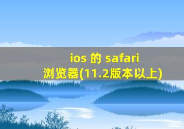 ios 的 safari 浏览器(11.2版本以上)